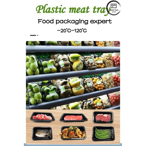 Freshness And Hygiene Disposable White Plastic Meat Trays Custom