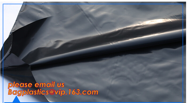 HOTICULTURAL MULCH FILM,AGRICULTURAL PE FILM,MARKET GARDENERS CLOCHE FILM,PE FILM FOR CORN,PLASTIC FILM COVER,TOMATO COV