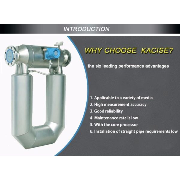 High Precision 0.2 Mass Accuracy Grade Petroleum Mass Flow Meter for -50℃~200℃ Medium Temperature and 0~4.0MPa Working Pressure