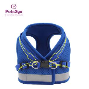 China Easy Using Waterproof Bluetooth Speaker Easy Walk Dog Leash wholesale