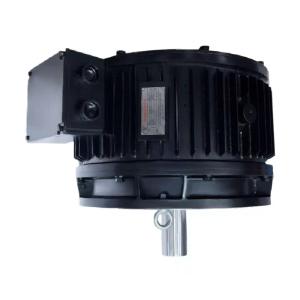 China High Torque Low Speed Direct Drive AC BLDC Motor For Heavy Duty Applications on sale