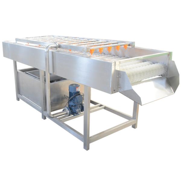 Quality SUS304 Fruit Vegetable Washing Machine for sale