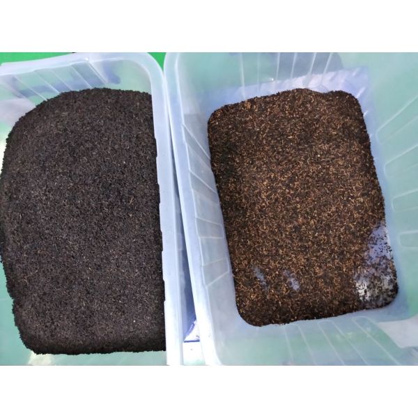 China Original Factory Direct Selling Multifunction Color Sorter Machine For Farmland