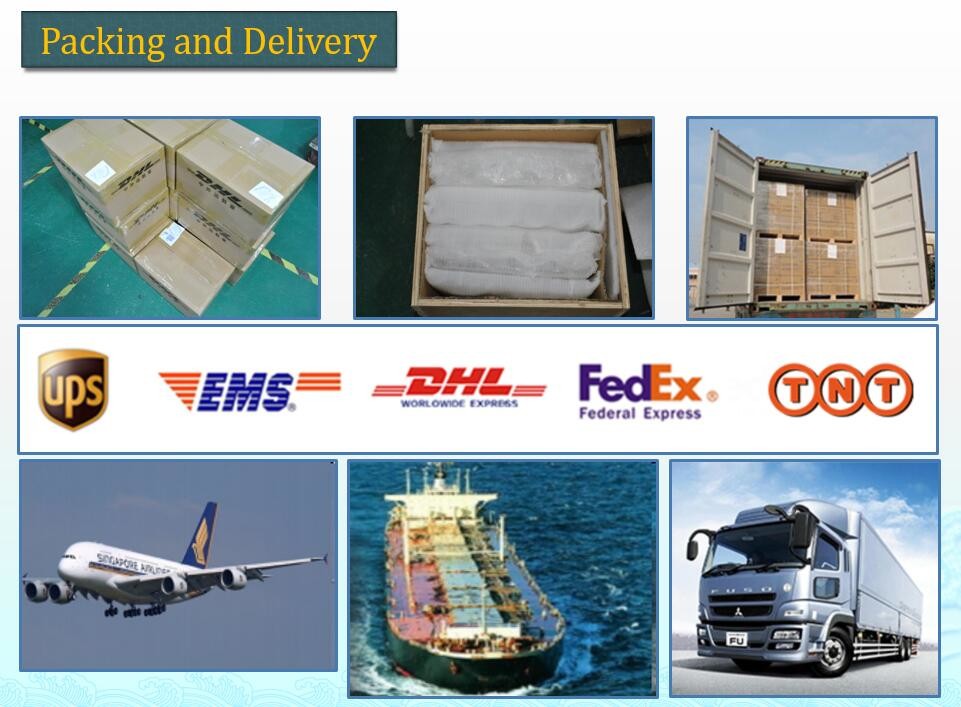 Engine Parts Custom CNC Milling Micro Die Casting Transmitter Crankcase Durable