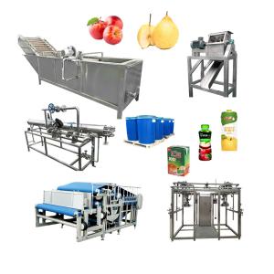 China SS304 / 316 Apple Juice Processing Machine 10 - 50T/D wholesale