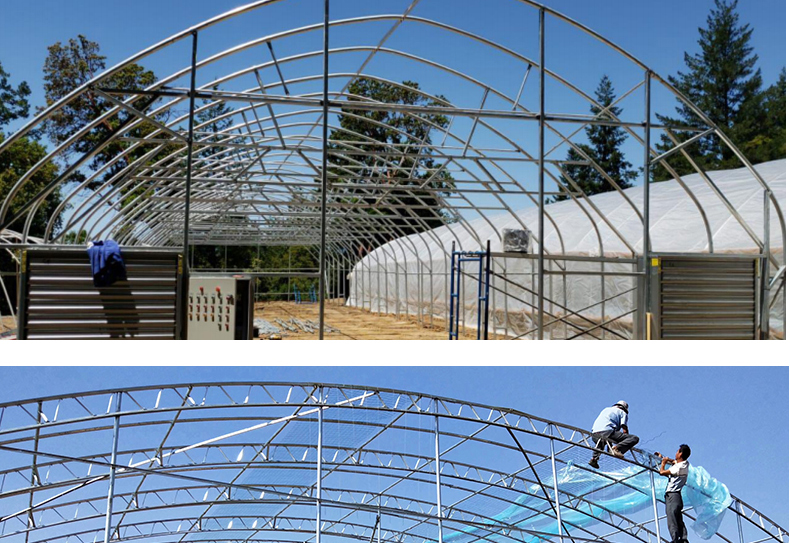 PO Single Layer Greenhouse for Agriculture Boost Agricultural Production