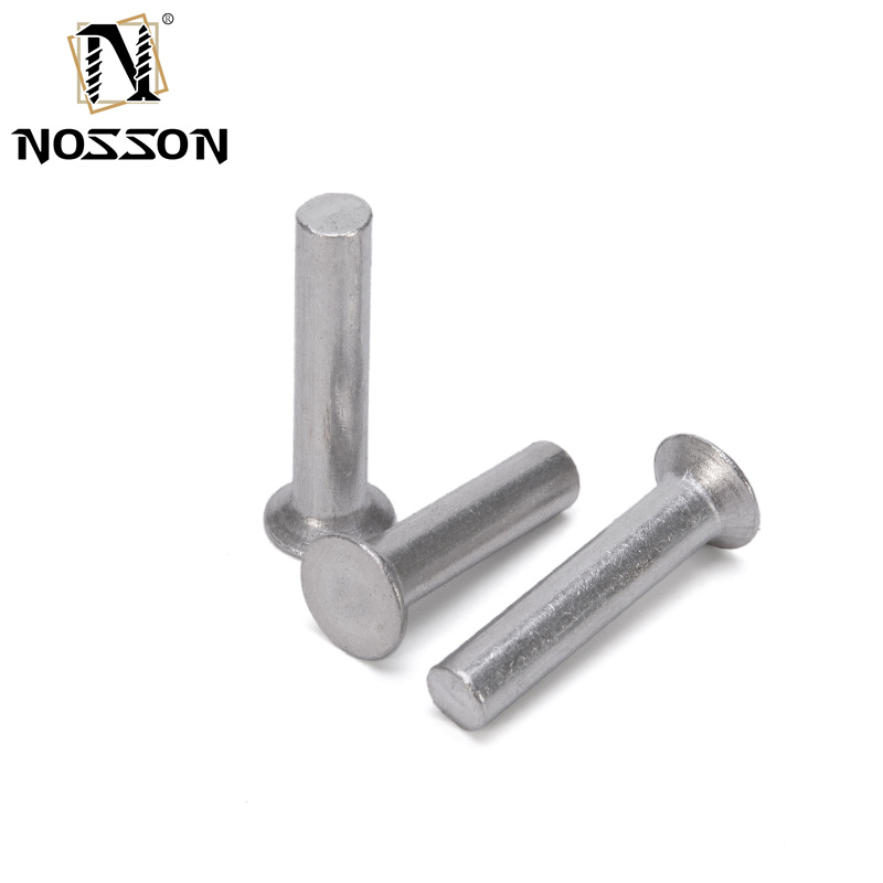 Aluminium Flat Thin Head Iron Rivet Solid Rivet Handle Knock Rivet Kit for Brake and Clutch Lining in Bright Finish Easy