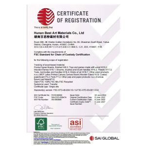 Hunan Best Art Materials Co., Ltd. Certifications