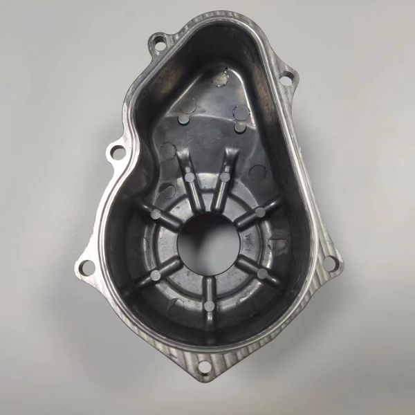 Die Casting parts 100% Inspection Max. 800mm*800mm*800mm Package Carton/Wooden Case