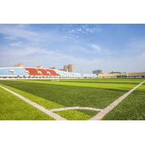 China SGS Certificate Artificial Turf Grass Synthetic Carpet Football Court wholesale