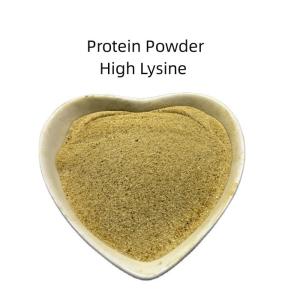China Probiotics Bacterial Poultry Protein Animal Feed Additives Add Flavor And Freshness wholesale