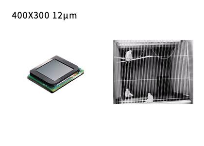 Quality 400x300 12μm Thermal Infrared Detectors Uncooled VOx Microbolometer for Thermography for sale