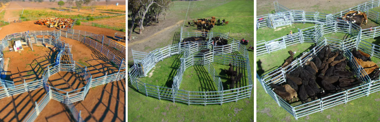 Movable Cattle Corral Livestock Fence Panel For Changing Grazing Patterns