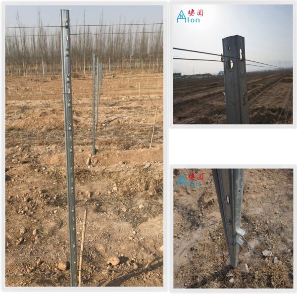 Vineyard Accessories Metal Trellis Posts Easy Installation Anti Corrosive