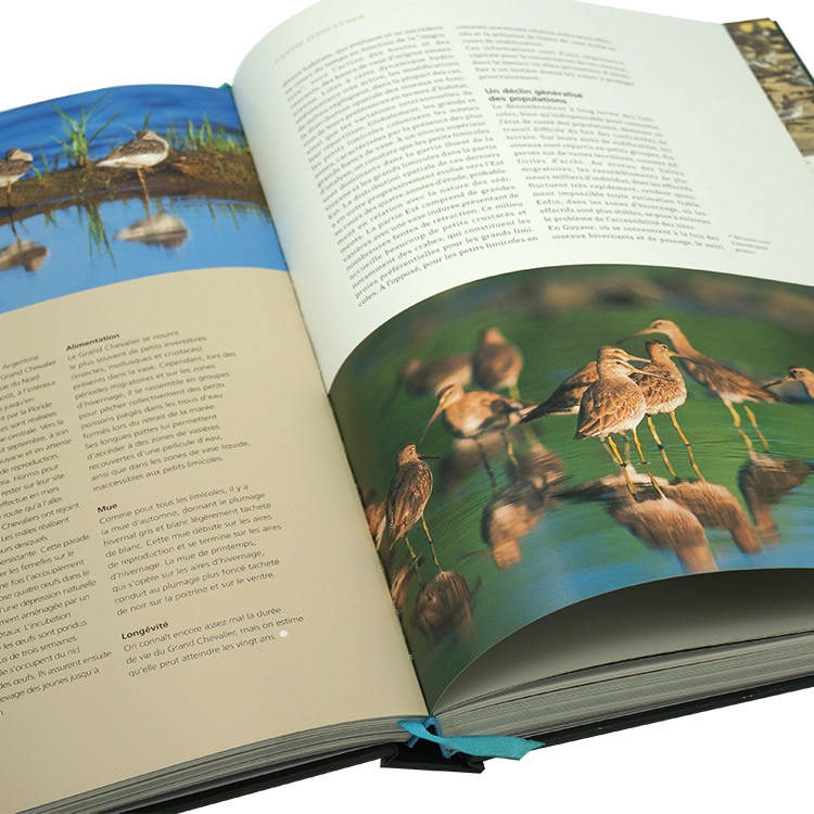 Color Custom Hardcover Book Printing Short Run Services Self Publish 280pages