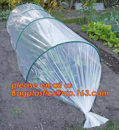 HOTICULTURAL MULCH FILM,AGRICULTURAL PE FILM,MARKET GARDENERS CLOCHE FILM,PE FILM FOR CORN,PLASTIC FILM COVER,TOMATO COV
