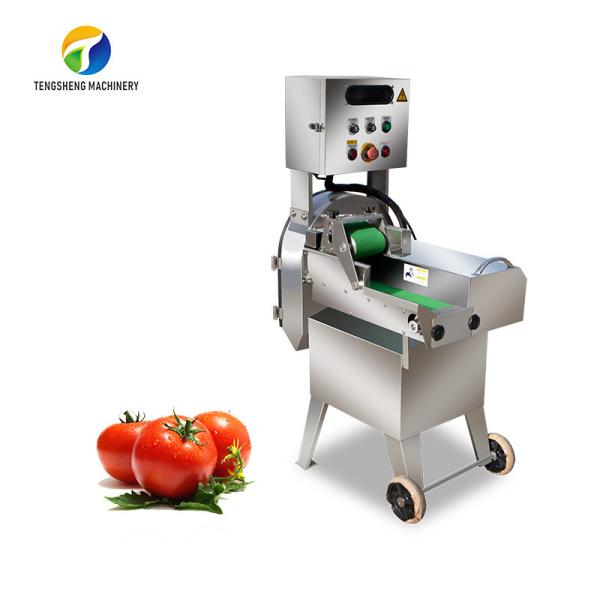 Quality Celery Chinese Cabbage Vegetable Processing Machine Single Head Tengsheng for sale