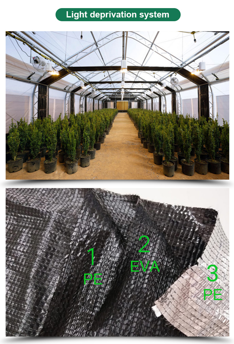 Length 30-100m Hoop House Light Deprivation Greenhouses for Mushroom Large