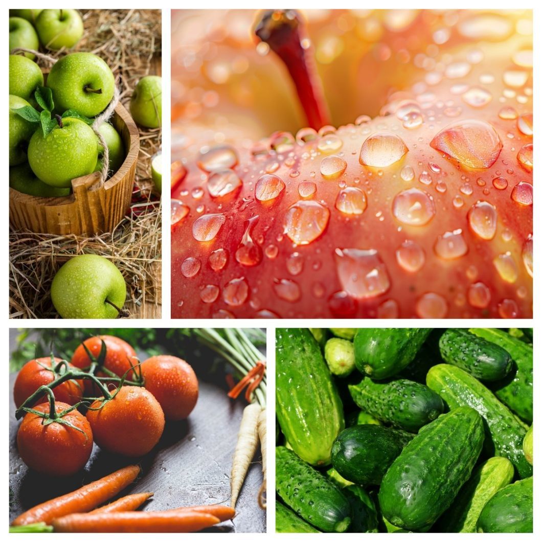 Complete Vegetable Fruit Washing Line for Streamlined Operations