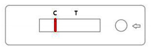SARS-COV-2 World's Fastest Antigen Testing Kit - RESULTS IN 15 minutes!!! 6