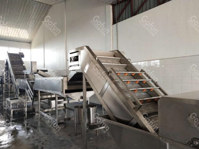 Automatic 10T/H Mango Processing Plant 440V Puree Processing Line