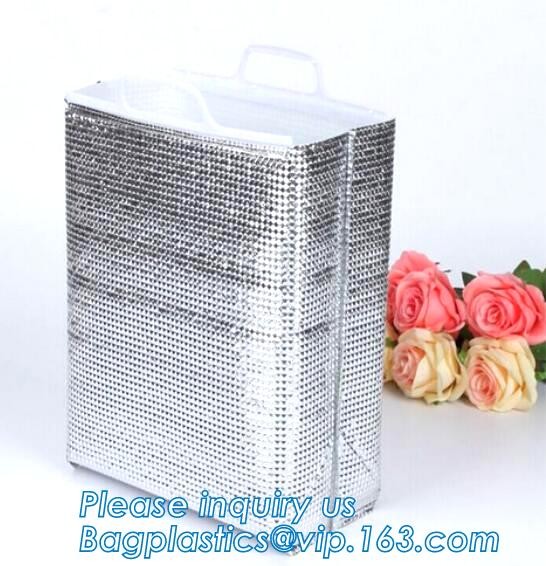 Customized logo printing insulated food delivery cooler bag,wholesale waterproof food delivery thermal bags bagplastics