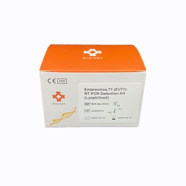 Quality Fast NAT Amplification Detection Enterovirus 71 EV71  RT PCR Test Kit Lyophilized for sale
