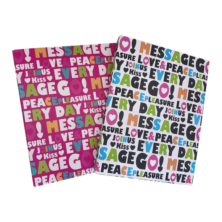 PP Folder Wholesaler Customized Colourful Cover Clip 3 Holes A4 File Folder for Office