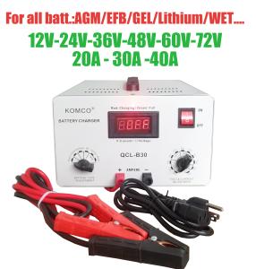 China OEM 24V Golf Cart Battery Chargers Desulfator Maintainer With Smart Chip wholesale