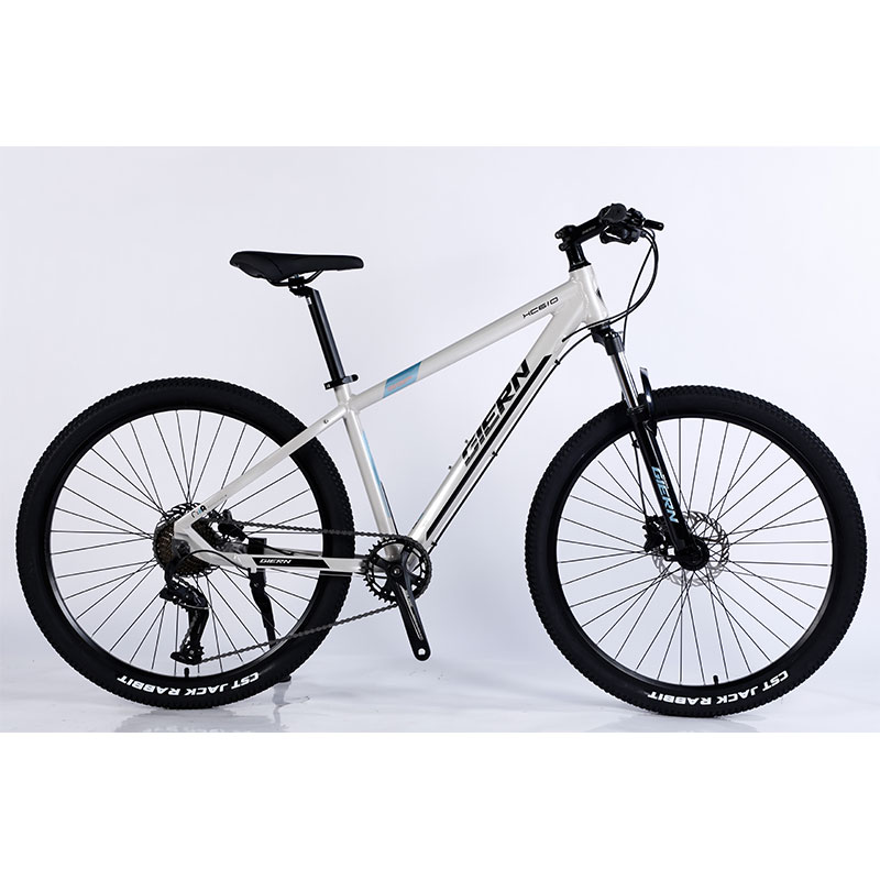 Double Wall Rim 29 Inch Mountain Bike For Adults On Road Riding