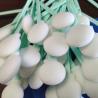 Buy cheap Disposable Lint Free Big Round Head Foam Swab Sponge for Cleaning from wholesalers