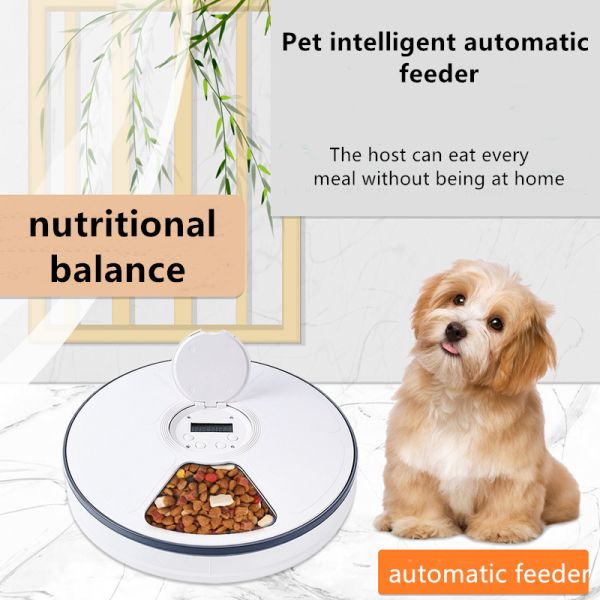 Electronic Timed Pet Feeder Water Food For Long Eared Dogs
