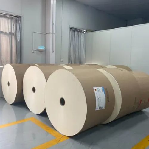 Waterproof Single Double PLA Coated Paper Cup Roll Custom Size High Bulk For Hot Cold Beverage Cups