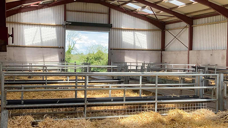 Sliding Door and Roller Door Design Q345 Metal Frame Goat/Sheep House for Cow/Cattle Farm