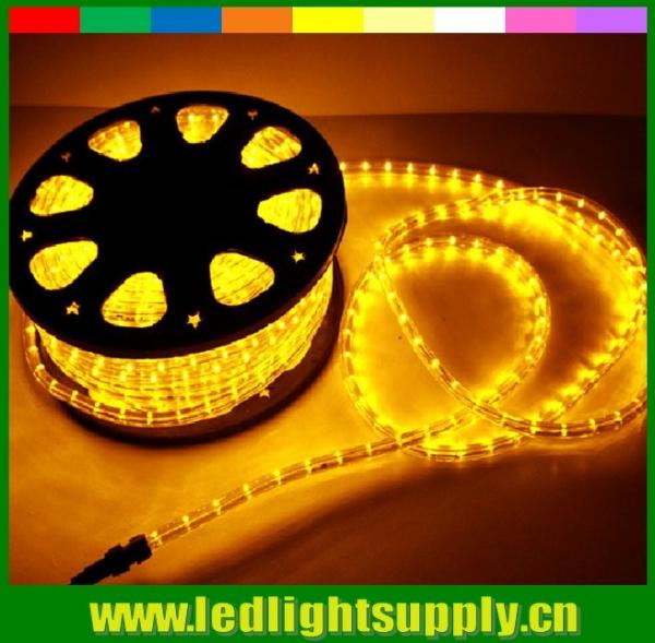 Quality rope light connector 110V 2 wire led rope  festival christmas lights for sale