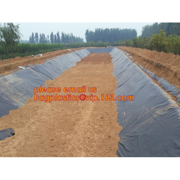 Eco-Friendly Hdpe Geomembrane Liner Geomembrane Price,Eco-Friendly Hdpe Geomembrane Liner Waterproofing Membranes BAGEAS
