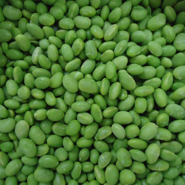 Quality IQF Frozen Soybeans Vegetables Peeled Soybean Frozen Edamame No Pods for sale