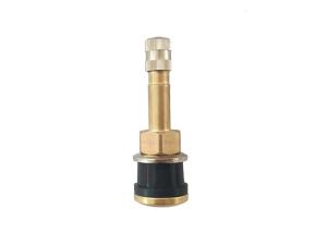 China Truck and Bus Straught Brass Tire Valve TR500 V3.21.2 55mm Size ISO9001 Certified wholesale