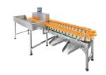 Conveyor Belt Weight Sorting Machine Chicken Wing Fish Grader Circular Multi