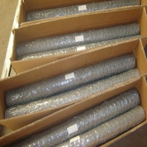 China hexagonal wire netting,Chicken Wire Mesh,Galvanized Hexagonal Wire Netting wholesale