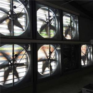 China Greenhouse Poultry Shed Cooling System , Environment Control Axial Flow Fan on sale