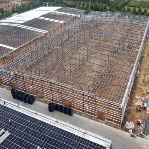 Large Span Pre Engineered Steel Frame Warehouse Q235B Q355B