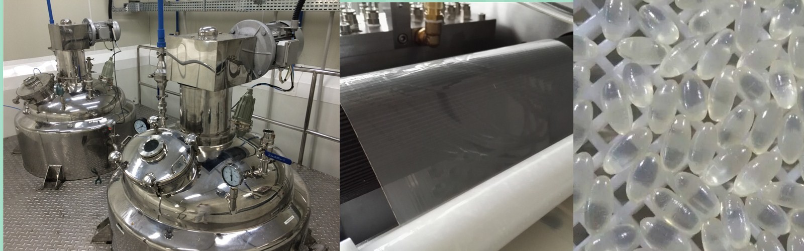 Industrial SS316 Automatic Vgel Encapsulation Machine S610V Automatic Control