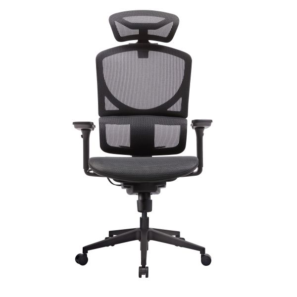 ISEE Double Split Back Ergonomic Mesh Office Chairs Lumbar Support Swivel Rolling With Back