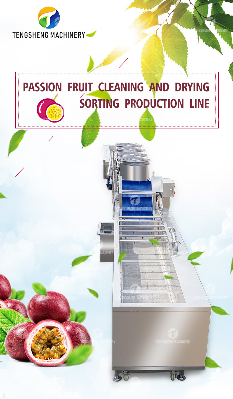 Silvery Personalization Passion Fruit And Vegetable Processing Line Fruit Cleansing Drying