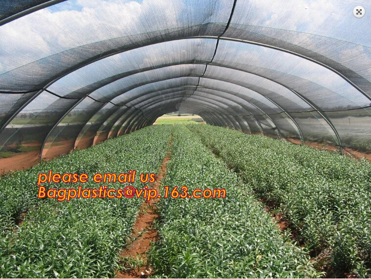 100% new HDPE insect mesh / anti bird net for apple trees,greenhouse anti insect net for plant, agriculture net Anti-ins