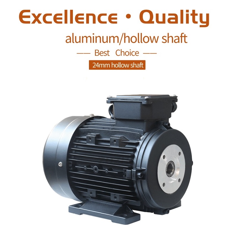 hollow shaft electric motor