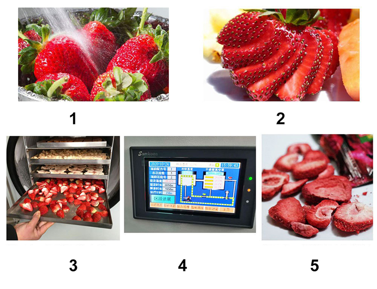 2022 new 100kg/200kg/300kg/400kg/500kg/1000kg per batch vacuum freeze dryer food freeze dryer