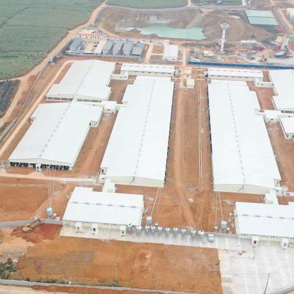 HI HOPE Farm Designed Prefab Poultry House High Sealing Broiler Shed Construction