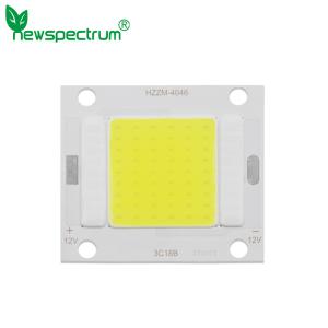 China Full Specturm Flip Chip COB LED Module Customized Logo For Spotlight wholesale